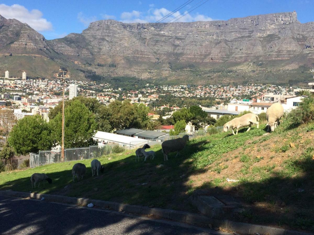 Upperbloem Guesthouse And Apartments Cape Town Exterior photo